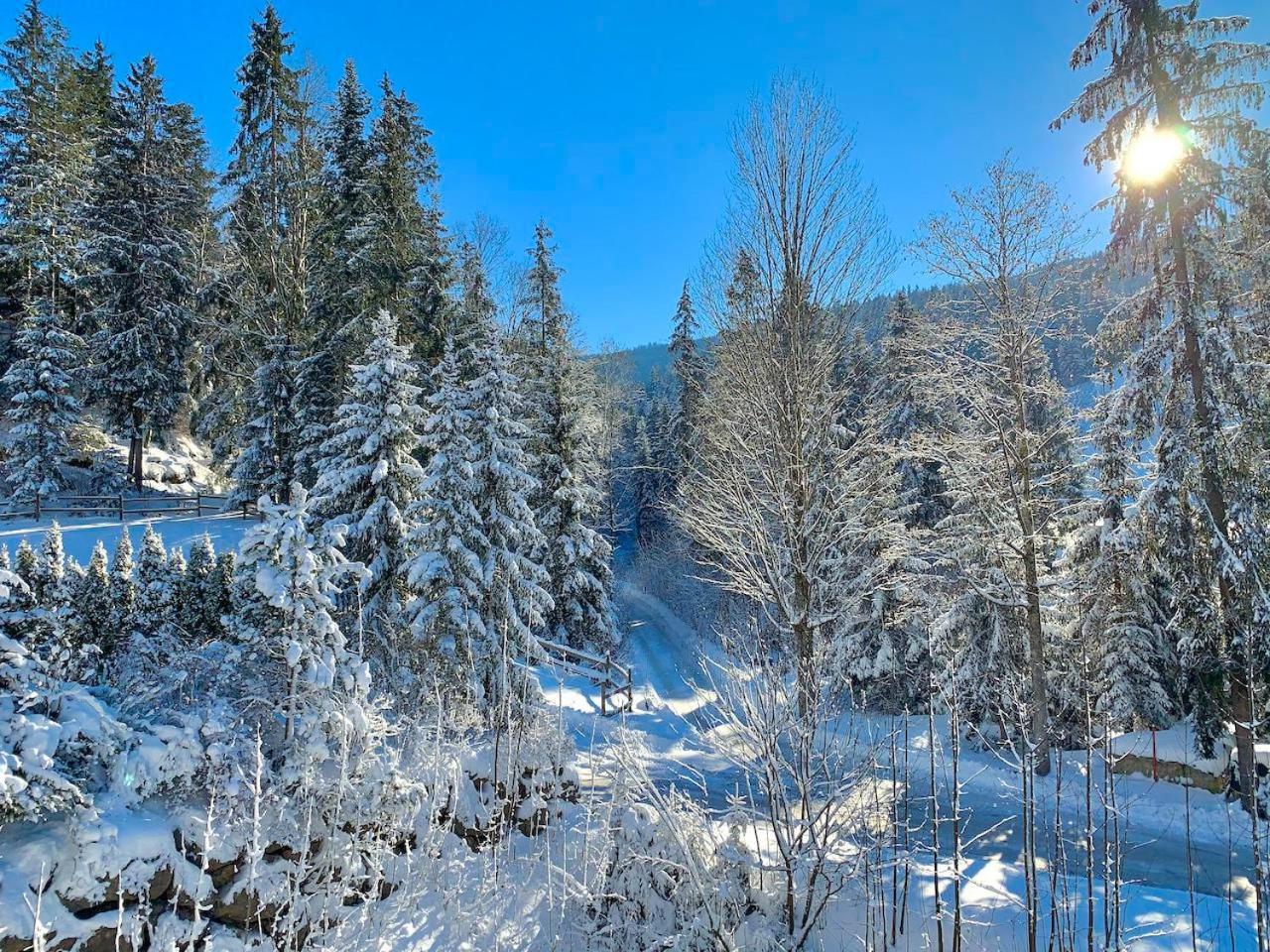 Apartmán Haus Widmann Scheffau am Wilden Kaiser Exteriér fotografie